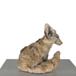 Ronceval, Small Lioness (Light Brown)