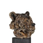 Ronceval, Small Lioness (Light Brown)
