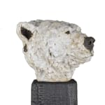 Ronceval, Small Lioness (Light Brown)