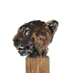 Ronceval, Small Lioness (Light Brown)