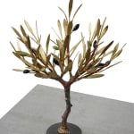 Aggelos & Filippos Panayiotidis Het Nieuwe Leven (Η νέα ζωή)