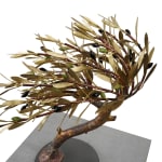 Aggelos & Filippos Panayiotidis, Olijfboom Met Trap (ελαιόδεντρο με σκάλες)