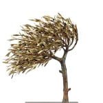 Aggelos & Filippos Panayiotidis, Olijfboom Met Trap (ελαιόδεντρο με σκάλες)