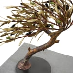 Aggelos & Filippos Panayiotidis, Olijfboom Met Trap (ελαιόδεντρο με σκάλες)