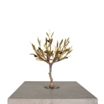 Aggelos & Filippos Panayiotidis, In De Wind (Στον άνεμο)