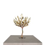 Aggelos & Filippos Panayiotidis, In De Wind (Στον άνεμο)