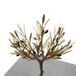 Aggelos & Filippos Panayiotidis Het Nieuwe Leven (Η νέα ζωή)