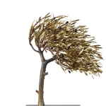 Aggelos & Filippos Panayiotidis, Olijfboom Met Trap (ελαιόδεντρο με σκάλες)