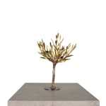 Aggelos & Filippos Panayiotidis, In De Wind (Στον άνεμο)