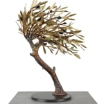 Aggelos & Filippos Panayiotidis, Olijfboom Met Trap (ελαιόδεντρο με σκάλες)