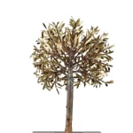 Aggelos & Filippos Panayiotidis, Olijfboom Met Trap (ελαιόδεντρο με σκάλες)