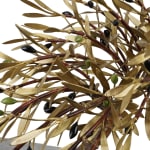 Aggelos & Filippos Panayiotidis, Olijfboom Met Trap (ελαιόδεντρο με σκάλες)