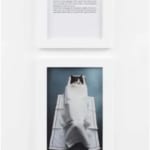 Sophie Calle, Douleur exquise, Il y a 40 jours | Exquisite pain, 40 days ago | Douleur exquise, il y...
