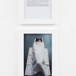 Sophie Calle, Douleur exquise, Il y a 40 jours | Exquisite pain, 40 days ago | Douleur exquise, il y...