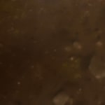 Maryam Yusifaliyeva, Vegetation , 2023