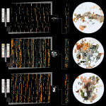 Entangled Others, Self-contained 009.4, 2024