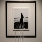 Fidan Abilova, Cover, 2024