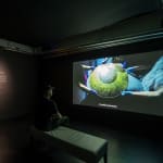 Thumbnail of additional image