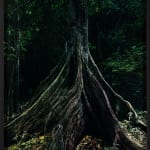 Marshmallow Laser Feast, Capinuri #3 (Breathing with the Forest), 2023