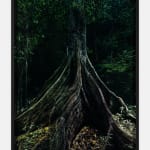 Marshmallow Laser Feast, Capinuri #3 (Breathing with the Forest), 2023