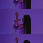 Sian Fan, Lure, 2024