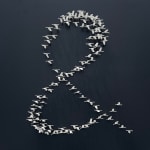 Joel Amit, Yin Yang