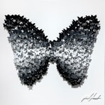 Joel Amit, Yin Yang
