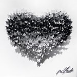 Joel Amit, Yin Yang