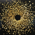 Joel Amit, Yin Yang