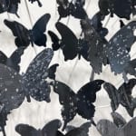 Joel Amit, Yin Yang