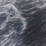 Franco Salas-Borquez, The Walk of the Swells