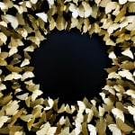 Joel Amit, Yin Yang