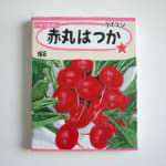 Renée Abaroa, シード 7, 2024