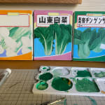 Renée Abaroa, シード 7, 2024