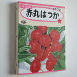 Renée Abaroa, シード 7, 2024