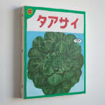 Renée Abaroa, シード 7, 2024