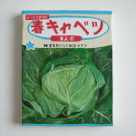 Renée Abaroa, シード 7, 2024