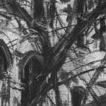 Gerard_Byrne_Magnolia_Blossom_on_Dartmouth_Square_contemporary_impressionism_charcoal_detail