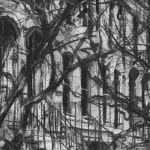 Gerard_Byrne_Magnolia_Blossom_on_Dartmouth_Square_contemporary_impressionism_charcoal_detail