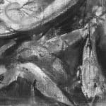 Gerard-Byrne-Botanical_Greens-Singapore-Botanic-Gardens-charcoalogy-exhibition-art-gallery-dublin-ireland-drawing-detail