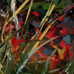 Gerard-Byrne-Summer-Garden-Ranelagh-irish-modern-impressionism-art-gallery-dublin-painting-detail