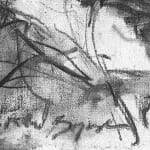 Gerard-Byrne-Walk-Along-the-Swan-Lake-Singapore_Botanic-Gardens-charcoalogy-exhibition-art-gallery-dublin-ireland-artist-signature