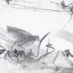 Gerard-Byrne_Oscar_Wilde_House_Merrion_Square_art_gallery_Dublin_Ireland_artist_signature