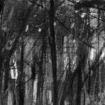 Gerard-Byrne-Walk-Along-the-Swan-Lake-Singapore_Botanic-Gardens-charcoalogy-exhibition-art-gallery-dublin-ireland-drawing-detail