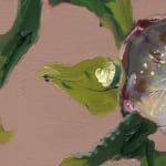 Gerard_Byrne_Pink_Sensation_Winter_Rose_contemporary_impressionism_painting_detail