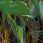 Gerard_Byrne_Lobster_Claw_contemporary_figurative_art_painting_detail