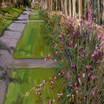 Gerard_Byrne_Spring_in_the_time_of_Coronavirus_limited_edition_fine_art_prints