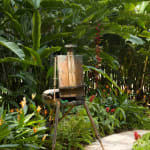 Gerard_Byrne_Lobster_Claw_contemporary_impressionism_Heliconia_Walk_Singapore_Botanic_Gardens