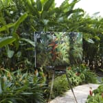 Gerard_Byrne_Lobster_Claw_contemporary_impressionism_Heliconia_Walk_Singapore_Botanic_Gardens
