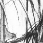 Gerard-Byrne-Potted-Plants-National-Botanic-Gardens-of-Ireland-charcoalogy-exhibition-art-gallery-dublin-ireland-drawing-detail